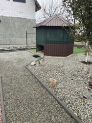   , , , , / , .   7