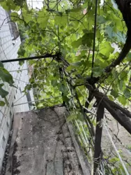 ���� 55 �. �� �� �����-1 ����������� ���� 9