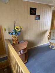 ���� 100 �. ��, ���� �����. �������� ���� 20