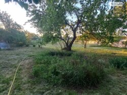 ���, 46 �. ��. �����������, ����� ��������� ���� 11