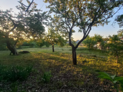 ���, 46 �. ��. �����������, ����� ���������. ���. ������� 19 �����. ���� 13