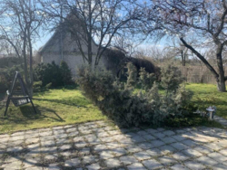 ������ ���� �� ����� �������. �����������. ��������. ���� 4