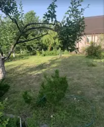 Дом-дача за ж/м Победа-6, 59 м. кв. Хорошее состояние. фото 21 Дом-дача за ж/м Победа-6, 59 м. кв. Хорошее состояние. фото 21