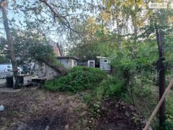 ���, 46 �. ��. �����������, ����� ��������� ���� 10