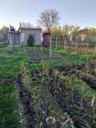 дача 30 м.кв. 6 сот. СТ Золотой Рене фото 8 дача 30 м.кв. 6 сот. СТ Золотой Рене фото 8