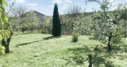 ���� � ������ ������-����������. ��� 70 �. ��. ����� ���� ����. ���� 16