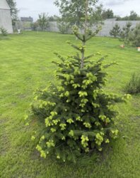 88 м. кв 10 соток частичный ремонт р-н Передовая фото 12 88 м. кв 10 соток частичный ремонт р-н Передовая фото 12