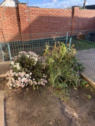 100�.�� 5 ���. �-� ��� ���� 11