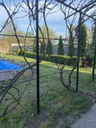 ������ ���� 189 �. ��. �� �. ���������. ������� ���������. �������� � ����. ���� 14