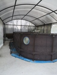 Дом 287 м. кв. вторая улица от р. Самары (р-н Одинковка) фото 7 Дом 287 м. кв. вторая улица от р. Самары (р-н Одинковка) фото 7