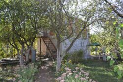 Дача. Садовый дом. 60 м. кв., с. Новоселовка, СТ Голубка. фото 2 Дача. Садовый дом. 60 м. кв., с. Новоселовка, СТ Голубка. фото 2