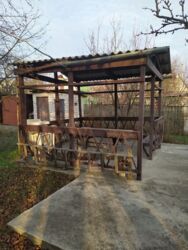 ���-����, 100 �. ��. � �����������, �� ���� ���� 7