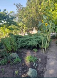 Дача 65 м.кв 7 сот, СТ Річник фото 2 Дача 65 м.кв 7 сот, СТ Річник фото 2