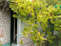 ���� 25 �. ��. �� '������-3' ���� 9