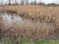 ���� 55 �. �� �� �����-1 ����������� ���� 11