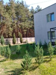 Будинок у лісі район Крутий берег. фото 17 Будинок у лісі район Крутий берег. фото 17