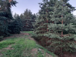 Будинок за містом. фото 5 Будинок за містом. фото 5