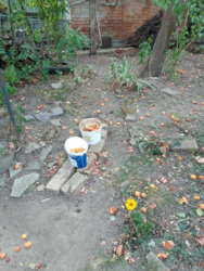 ������� ������� �� ����������� �� �����. ���� 13