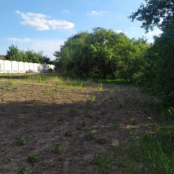 Будинок із земельною ділянкою в Рибцях. фото 2 Будинок із земельною ділянкою в Рибцях. фото 2