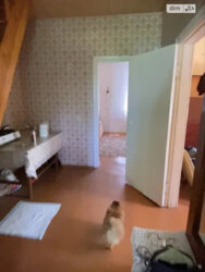 ��������� ������� ����������, �����������, �������, �������� ���. ���� 11