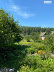 ��������� ������� ����������, �����������, �������, �������� ���. ���� 2