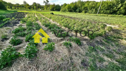 ������ ������� �� ��������! ���� 14