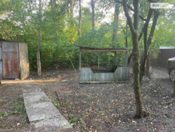 ��������� ������� ����������, �������, ����������, �������� ����, ������ ���. ���� 8