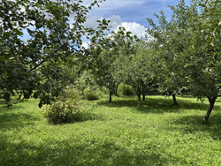 Продається будинок. фото 5 Продається будинок. фото 5