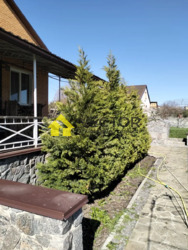 Продається будинок Полтавська, Полтавський, Мільці фото 6 Продається будинок Полтавська, Полтавський, Мільці фото 6