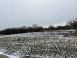 Продається будинок Полтавська, Полтавський, Жуки фото 5 Продається будинок Полтавська, Полтавський, Жуки фото 5