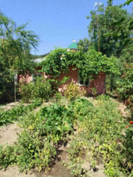 ������� ������� �� ����������� �� �����. ���� 2