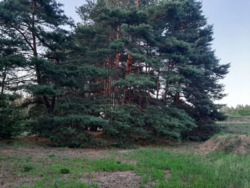 Будинок за містом. фото 7 Будинок за містом. фото 7