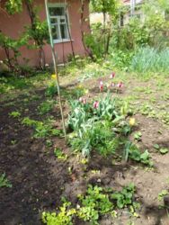 ������� ������� �� ����������� �� �����. ���� 11