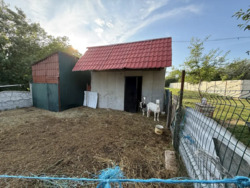 Продаж будинку в Рибцях з ділянкою поруч.Торг. фото 7 Продаж будинку в Рибцях з ділянкою поруч.Торг. фото 7