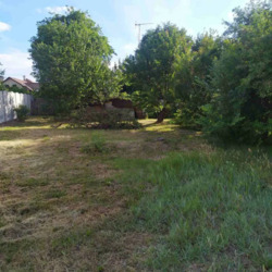 Будинок із земельною ділянкою в Рибцях. фото 5 Будинок із земельною ділянкою в Рибцях. фото 5