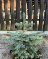 Будинок на Вакуленцях. фото 3 Будинок на Вакуленцях. фото 3