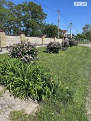 Продається будинок Полтавська, Полтавський, Мільці фото 3 Продається будинок Полтавська, Полтавський, Мільці фото 3