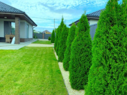 Продається будинок Полтавська, Полтава, Київський, Браїлки, Гожулівська вул. фото 4 Продається будинок Полтавська, Полтава, Київський, Браїлки, Гожулівська вул. фото 4