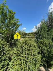    .  29+  !  ̲Ѳ   16