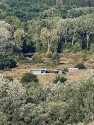 Ділянка з новим будинком. фото 11 Ділянка з новим будинком. фото 11