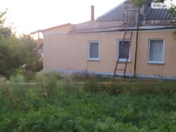   , , . , . ,  () .  6