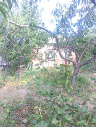Продам будинок село Гора, Полтавська область. фото 9 Продам будинок село Гора, Полтавська область. фото 9