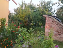   , , . , . ,  () .  5