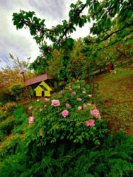 ������ ������� �� ��������! ���� 7