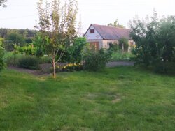   , , . , . ,  () .  7