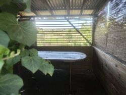 Продається будинок з земельною ділянкою 30 сот фото 4 Продається будинок з земельною ділянкою 30 сот фото 4