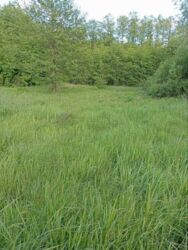 !!!     70   7   .  3