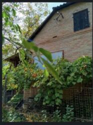 Продається будинок Полтавська, Полтава, Шевченківський (Жовтневий), Центр, Лугова вул. фото 4 Продається будинок Полтавська, Полтава, Шевченківський (Жовтневий), Центр, Лугова вул. фото 4