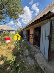    .  29+  !  ̲Ѳ   19