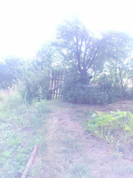 Продам будинок село Гора, Полтавська область. фото 6 Продам будинок село Гора, Полтавська область. фото 6